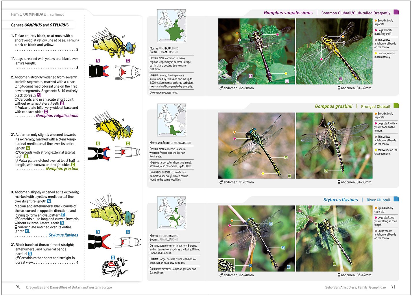 dragonflies and damselflies of britain and western europe. a photographic guide