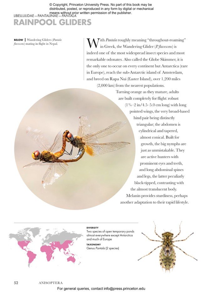 dragonflies and damselflies of the world. a guide to their diversity