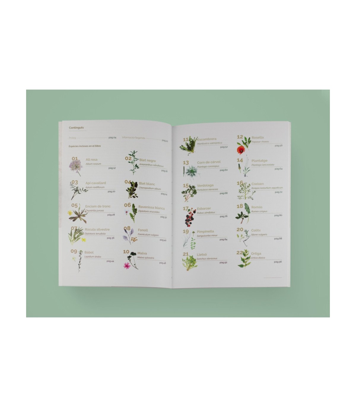 el llibre de les plantes silvestres comestibles 1