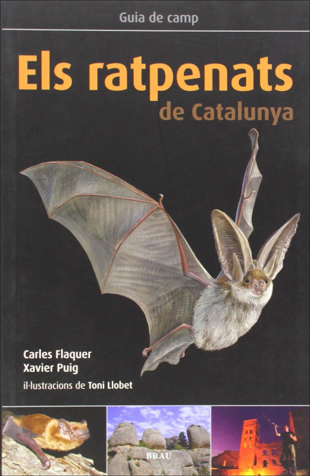 els ratpenats de catalunya
