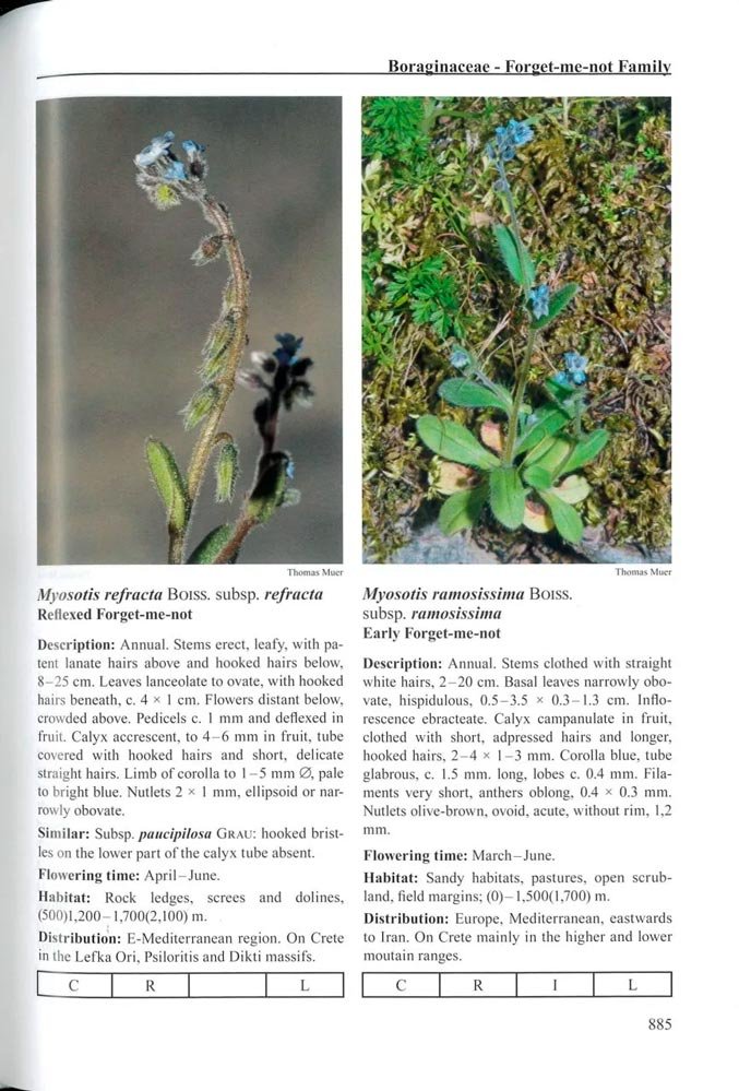 flora cretica a complete handbook of all flowering plants, lycopods and ferns occuring on the island of crete and surroundind islets