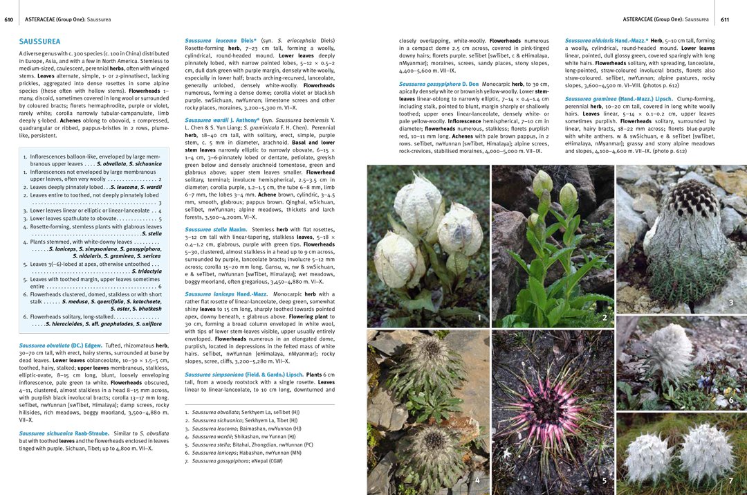 guide to the flowers of western china