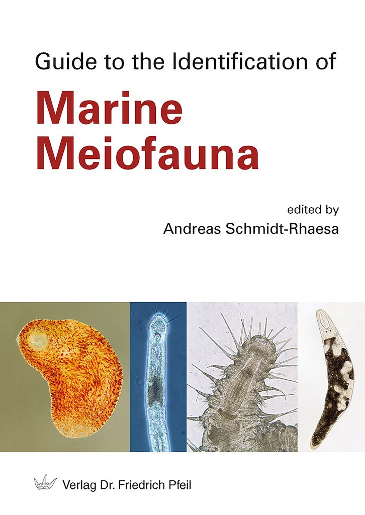 guide to the identification of marine meiofauna