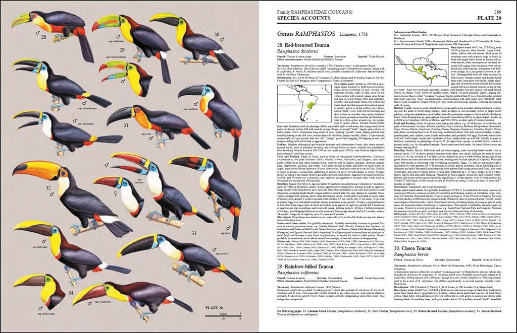 handbook of the birds of the world, vol. 7. jacamars to woodpeckers