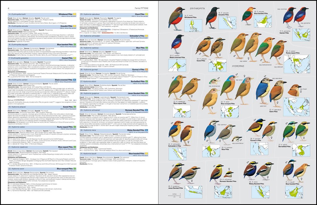 hbw and birdlife international illustrated checklist of the birds of the world. vol. 2