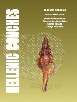 hellenic conches
