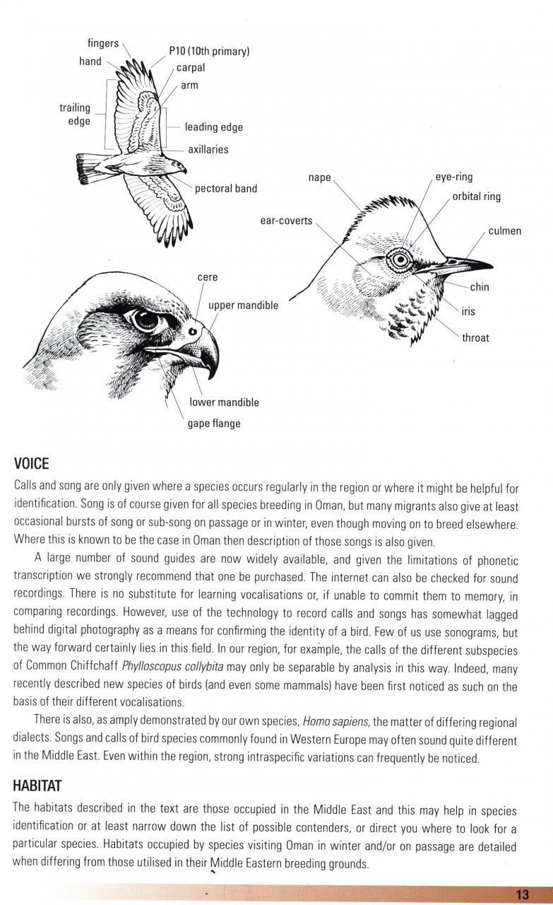 helm field guides. birds of oman