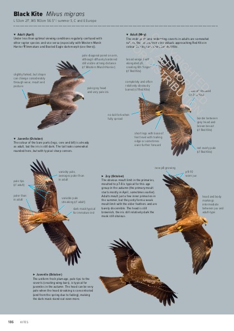 id handbook of european birds (2-volume set)