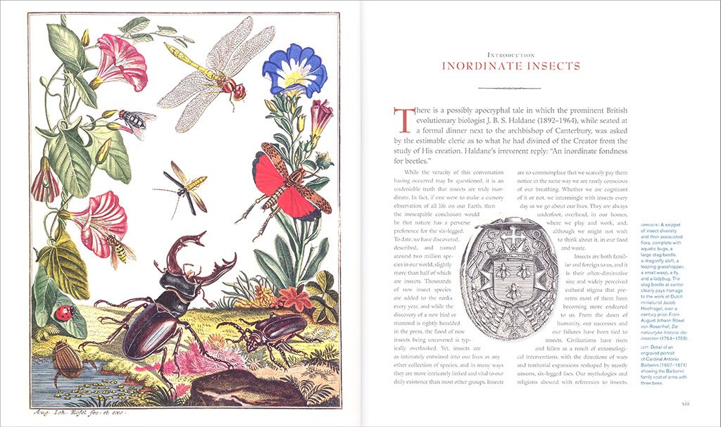 innumerable insects. the story of the most diverse and myriad animals on earth