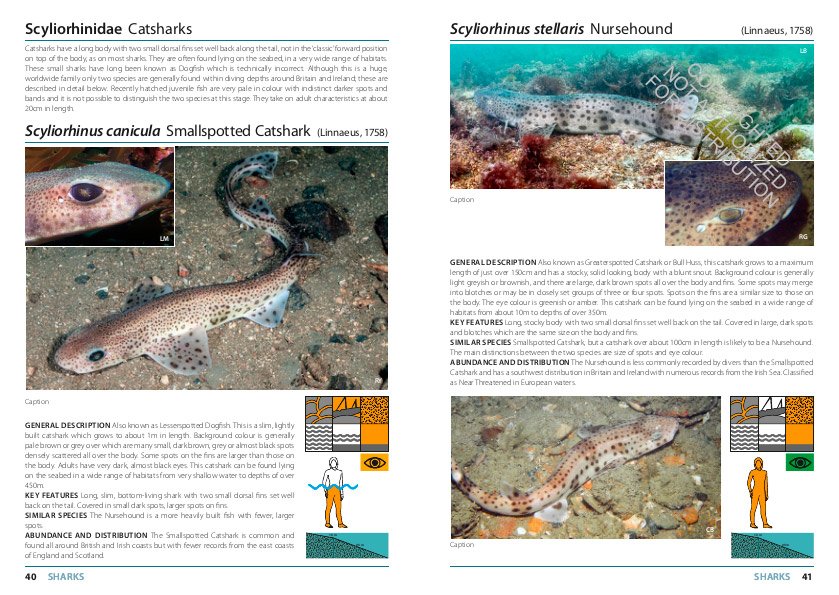 inshore fishes of britain and ireland