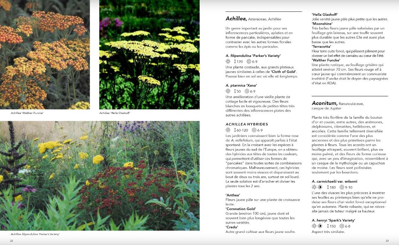 jardins naturalistes - les meilleures plantes vivaces