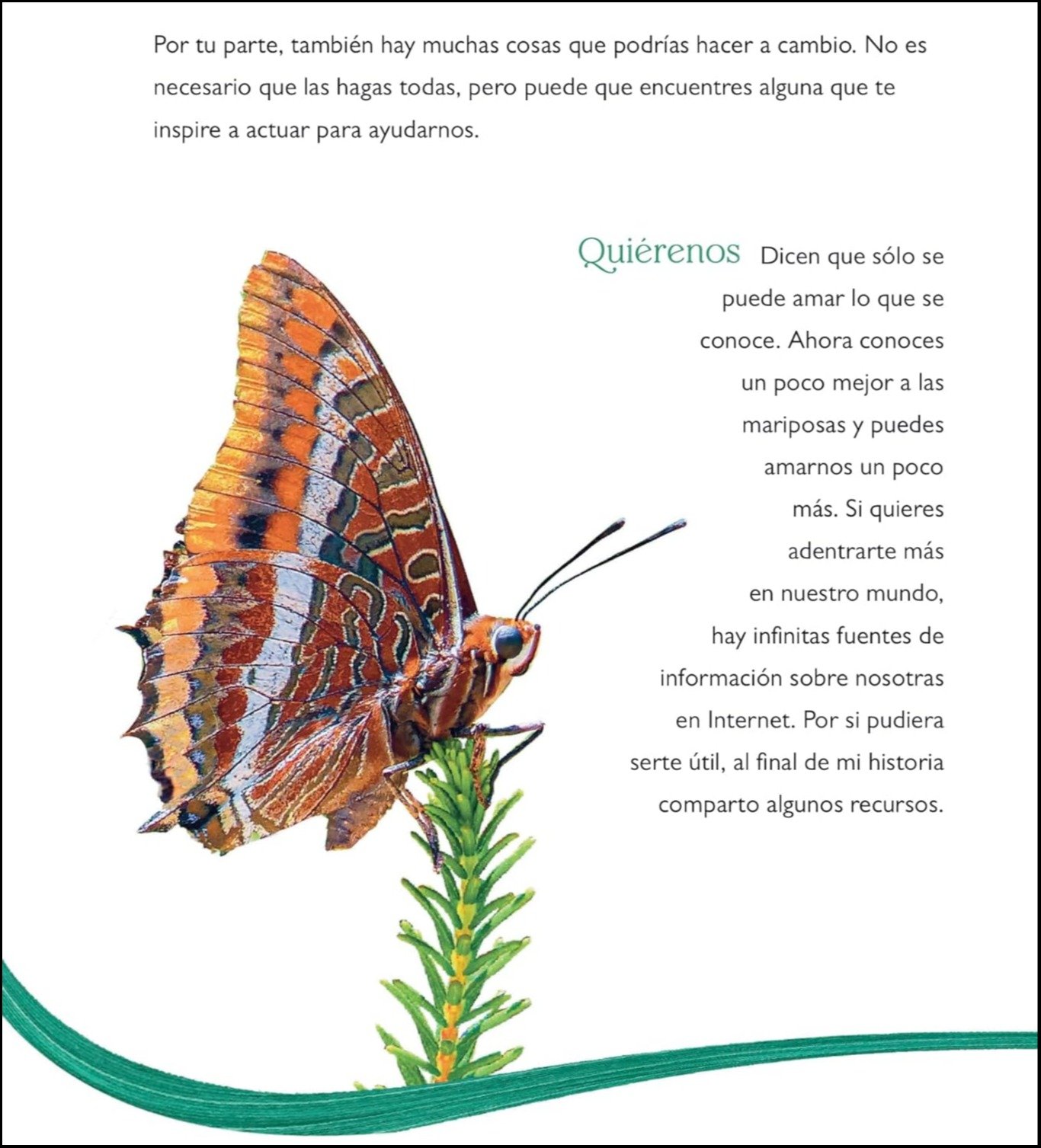 la magia de la transformacion