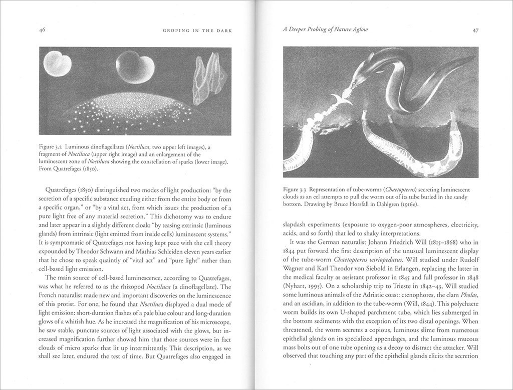 luminous creatures: the history and science of light production in living organisms