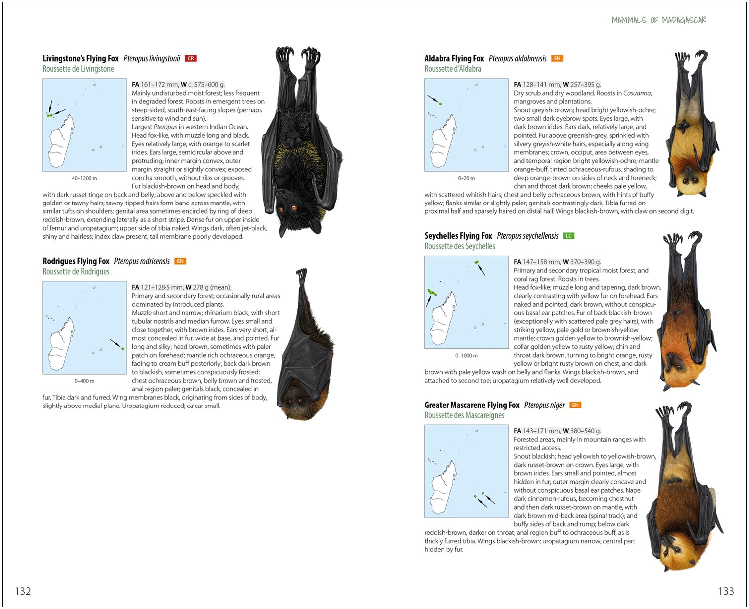 mammals of madagascar