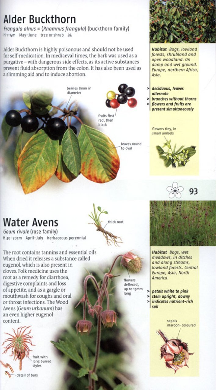 medicinal plants of britain and europe