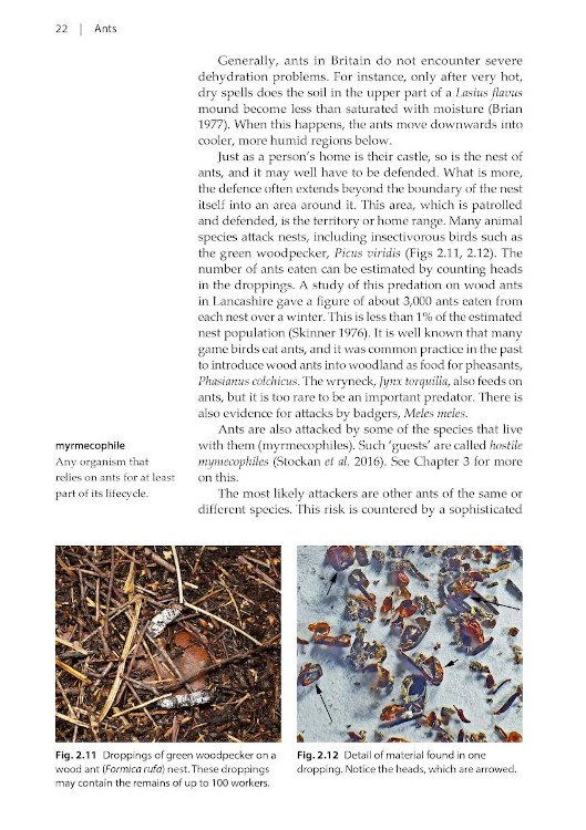 naturalists' handbooks 24. ants