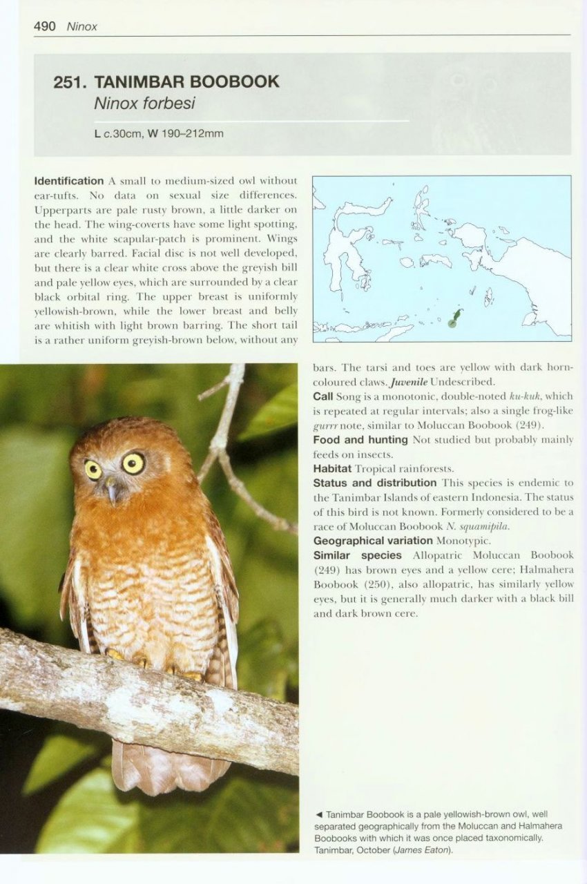 owls of the world. a photographic guide