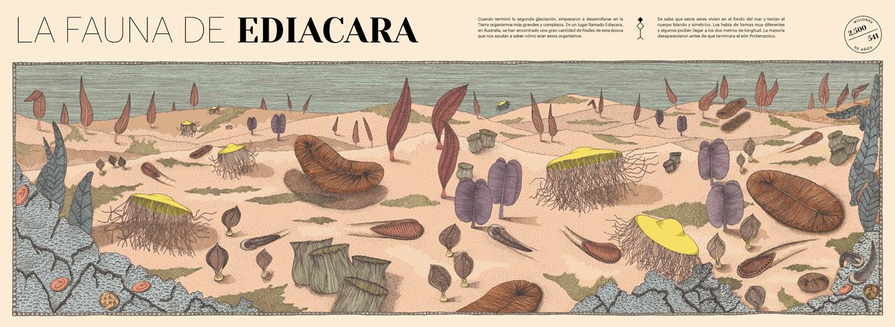 paisatges perduts de la terra