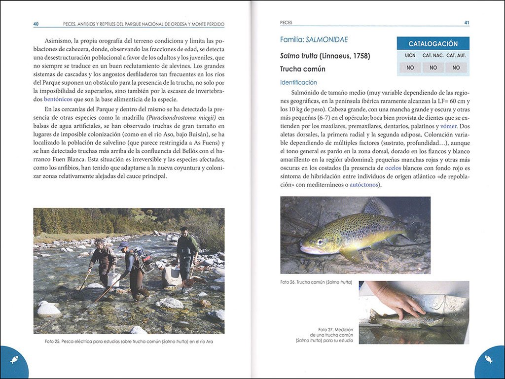 peces, anfibios y reptiles del parque nacional de ordesa y monte perdido