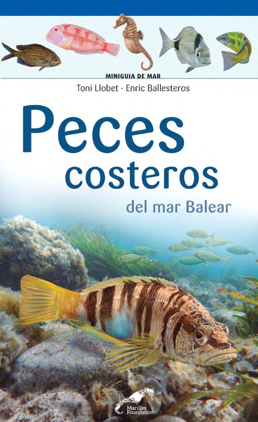 peces costeros del mar balear. miniguia de mar