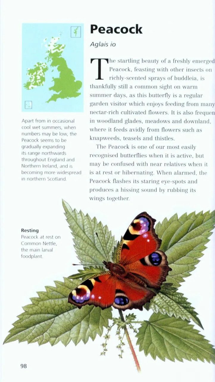 pocket guide to the butterflies of great britain and ireland