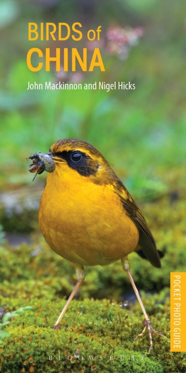 pocket photo guide to the birds of china