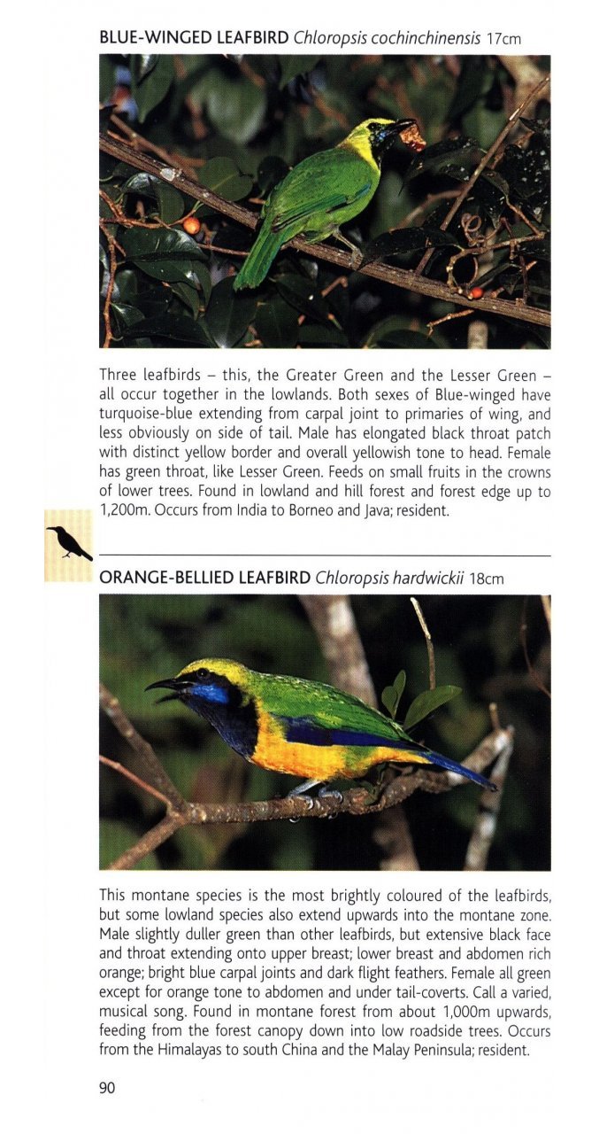 pocket photo guide to the birds of peninsular malaysia and singapore