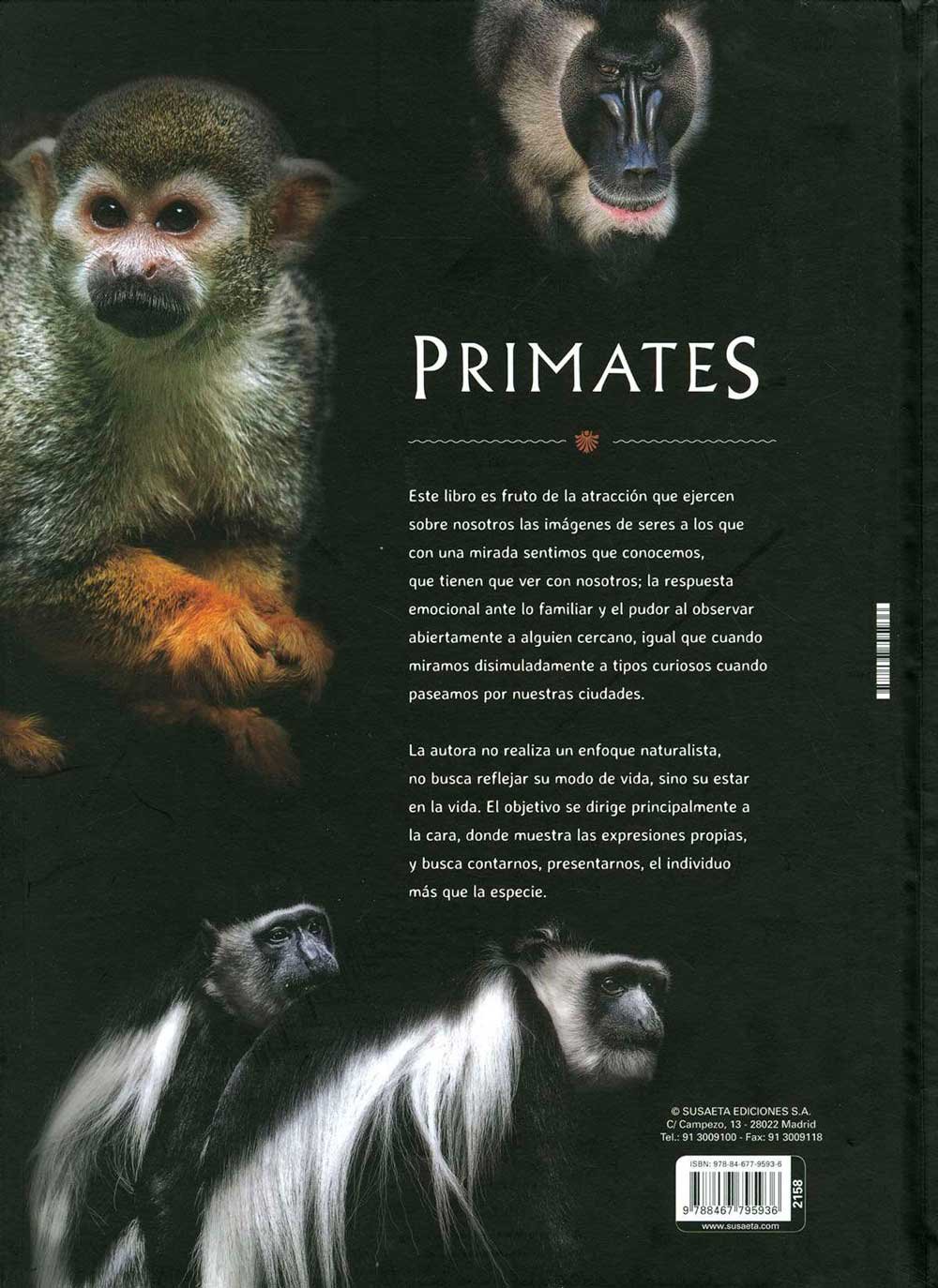 primates. tan cerca de lo humano