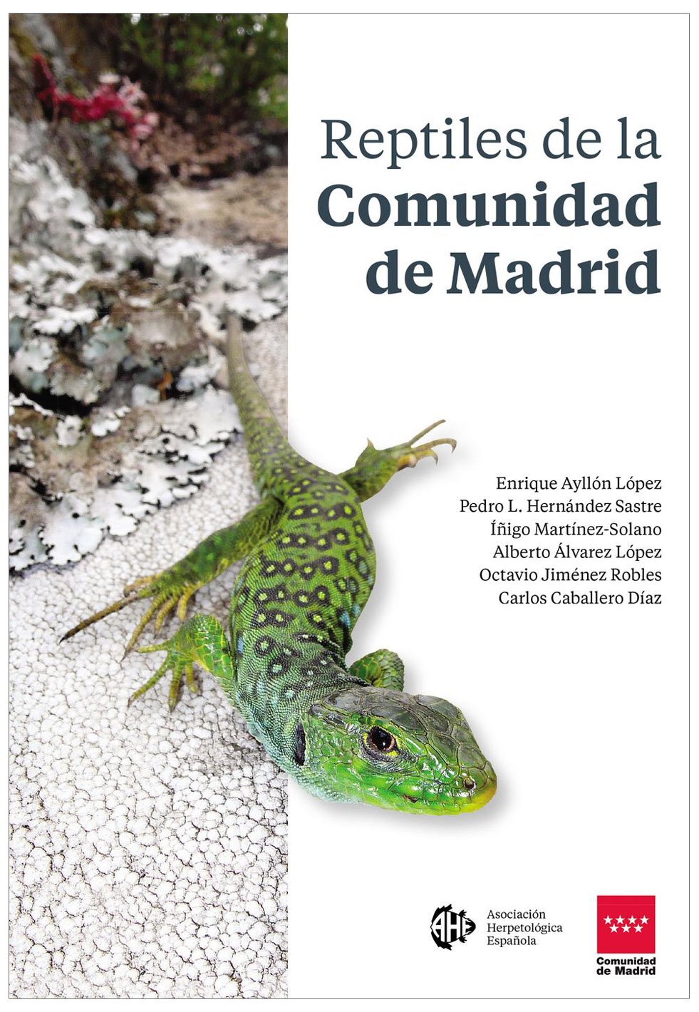 reptiles de la comunidad de madrid