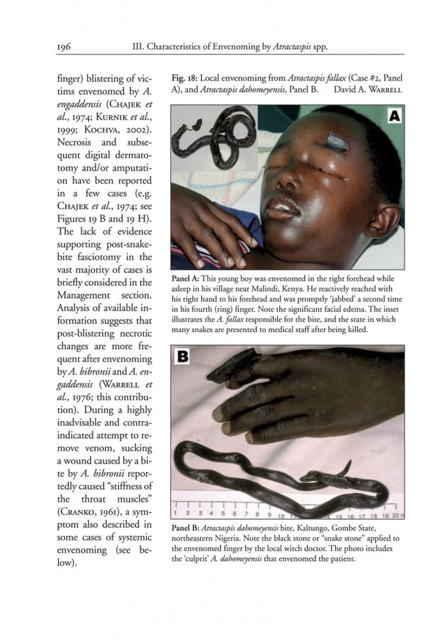 the african and middle eastern burrowing asps and their allies
