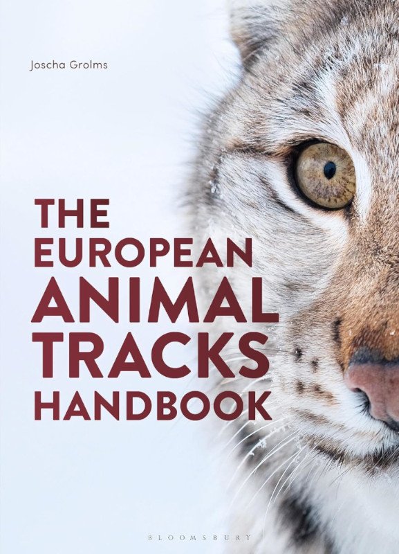 the european animal tracks handbook