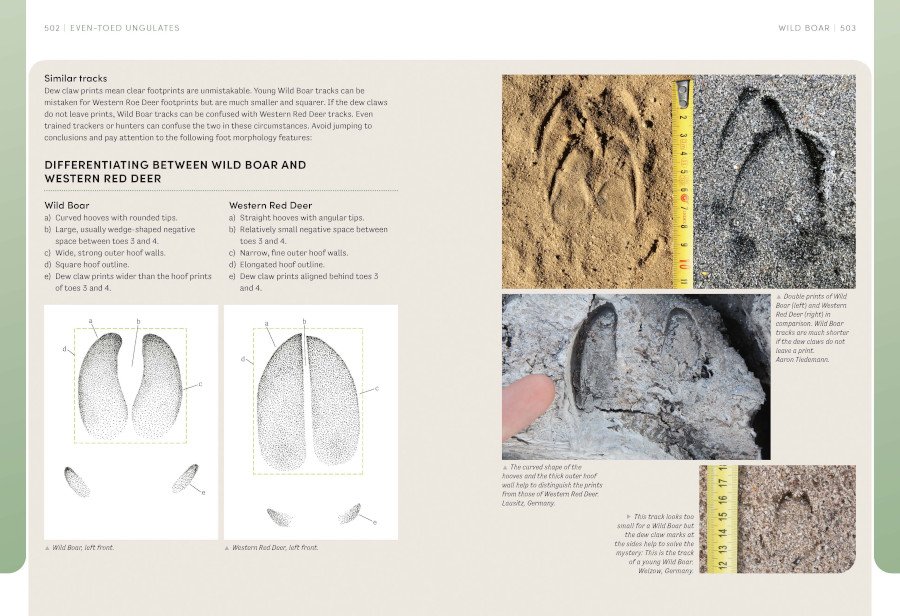 the european animal tracks handbook