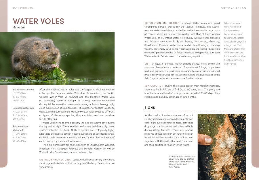 the european animal tracks handbook
