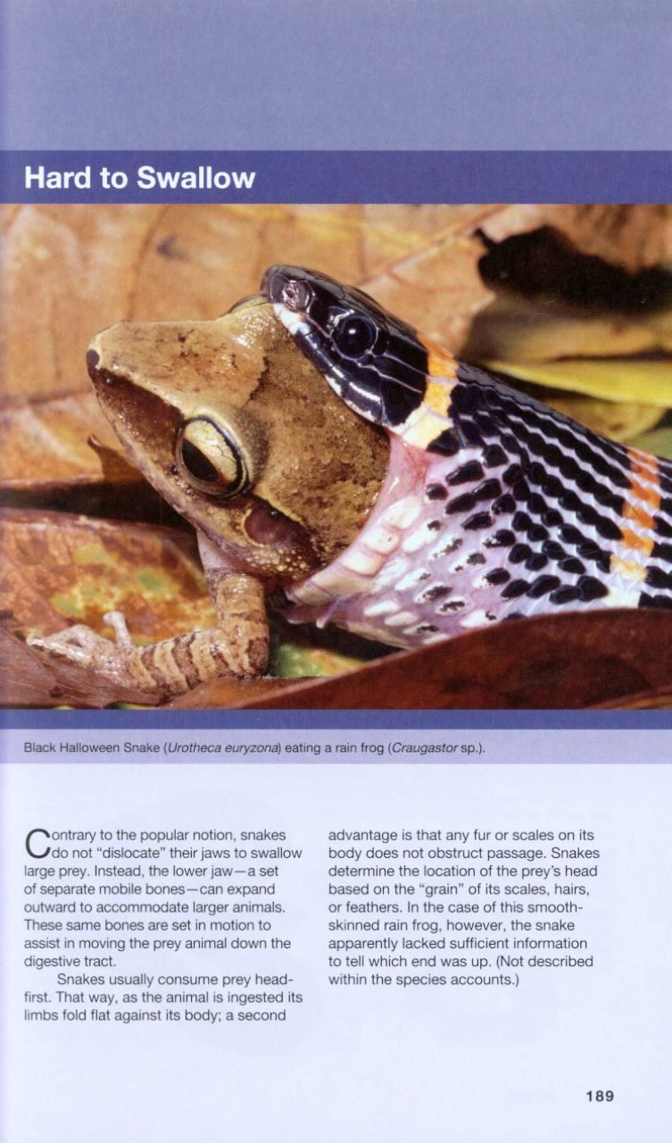 the wildlife of costa rica. a field guide