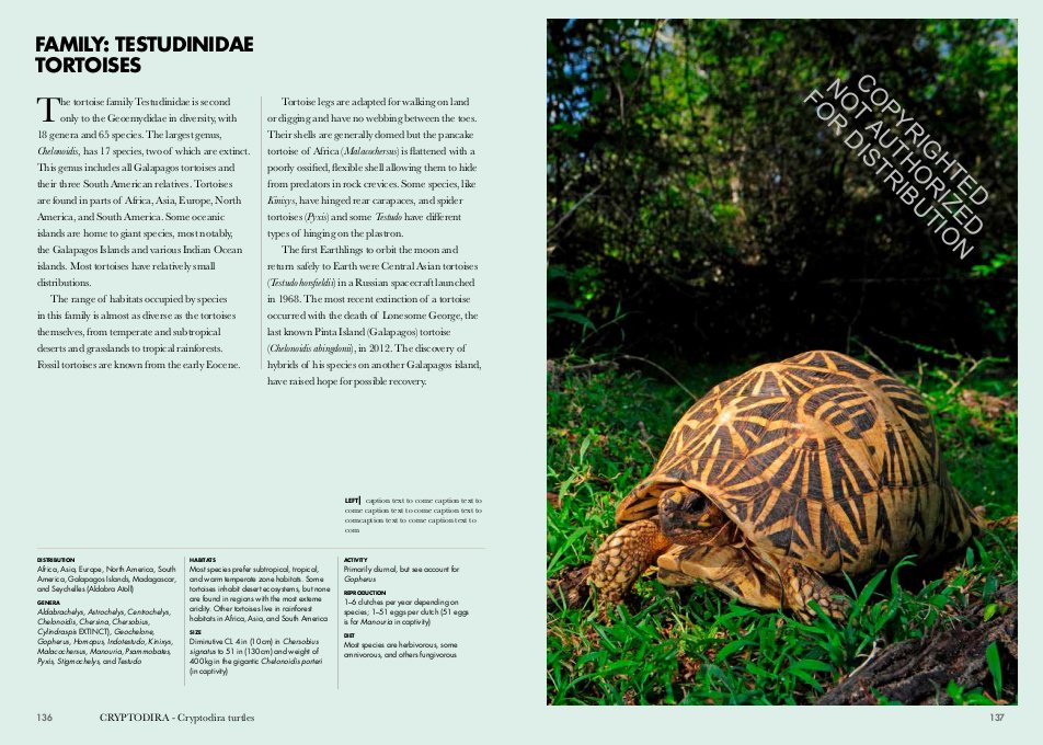 turtles of the world. a guide to every family