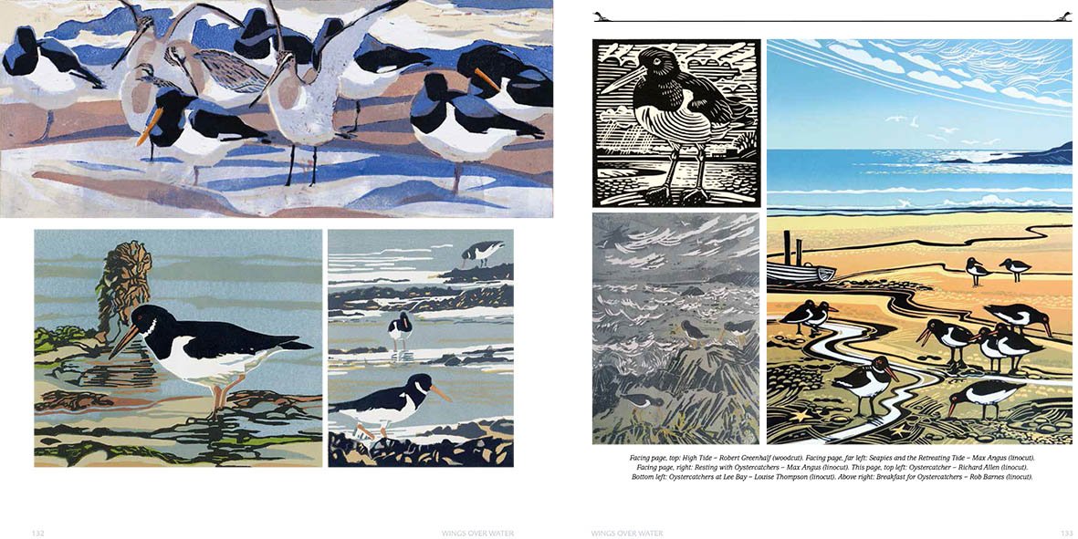 wings over water. waders, wildfowl, seabirds & more