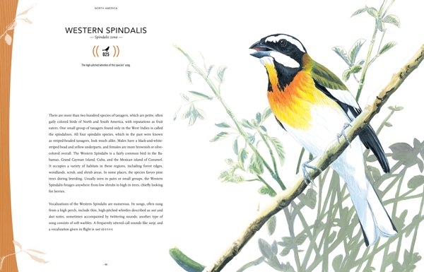 200 bird songs from around the world