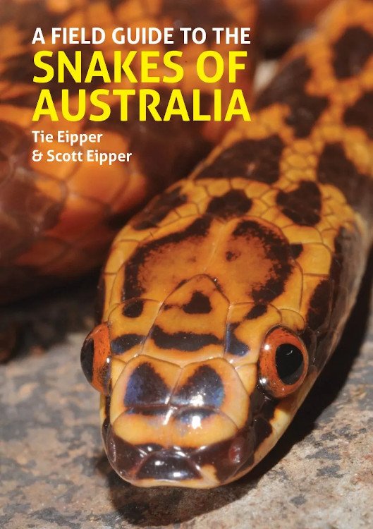 a field guide to the snakes of australia