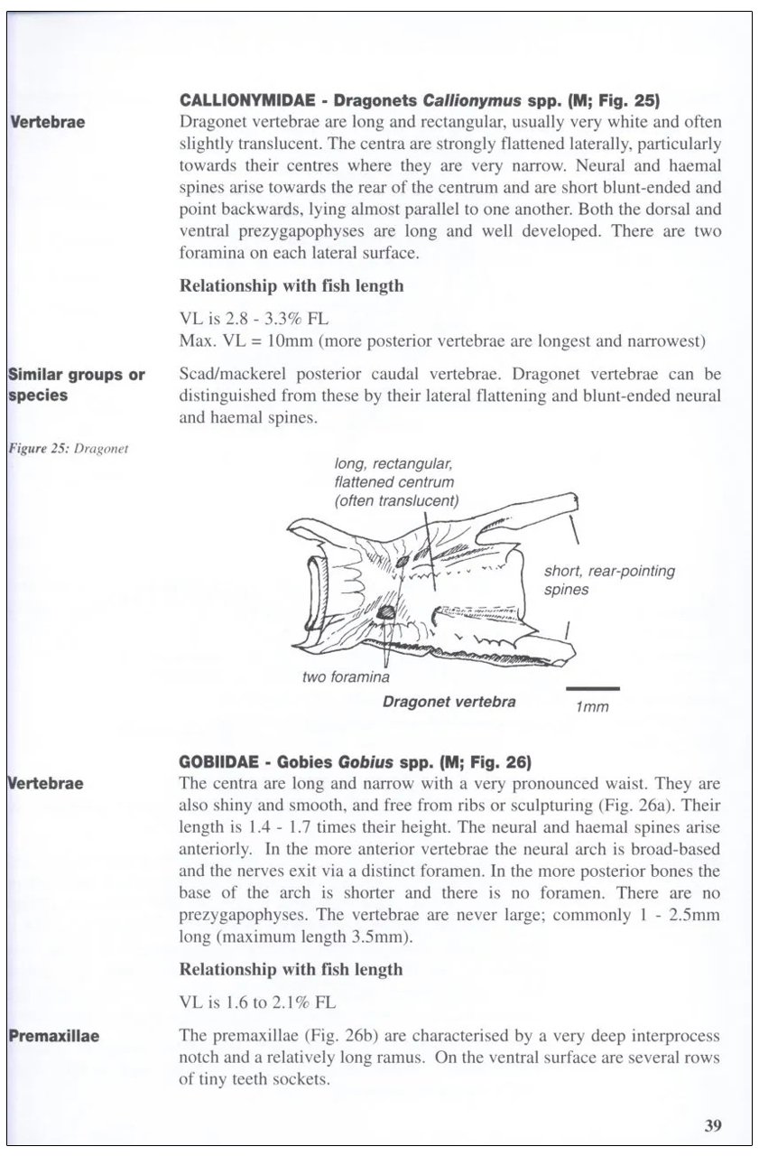 a guide to the identification of prey remains in otter spraint