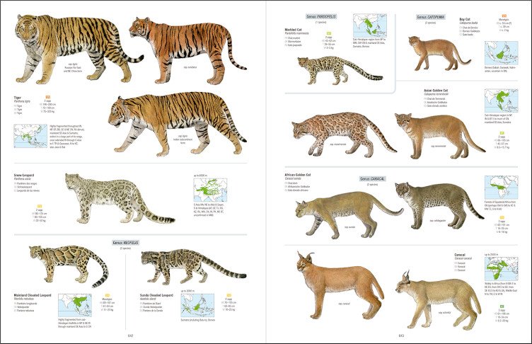 all the mammals of the world
