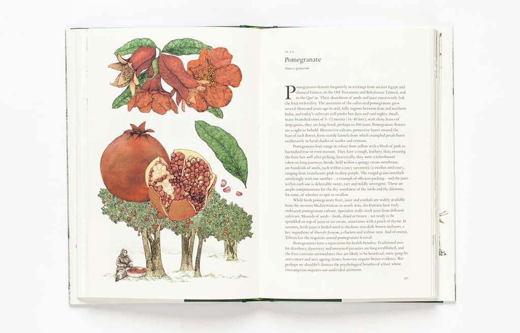 around the world in 80 trees