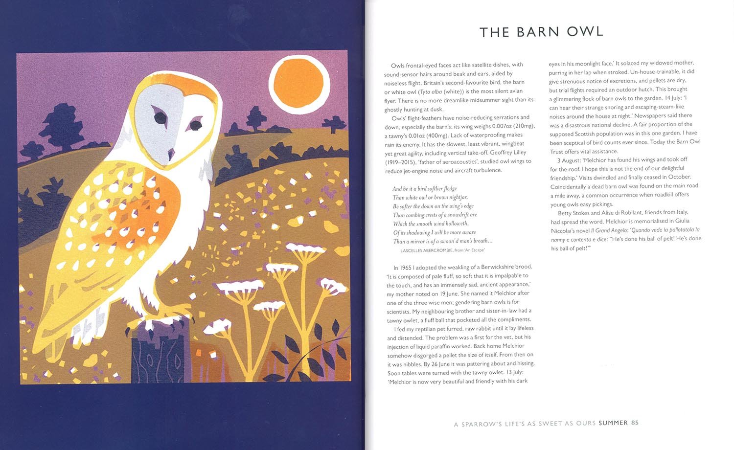a sparrow's life's as sweet as ours