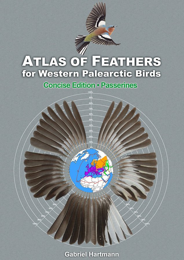 atlas of feathers for western palearctic birds (passerines) - concise edition
