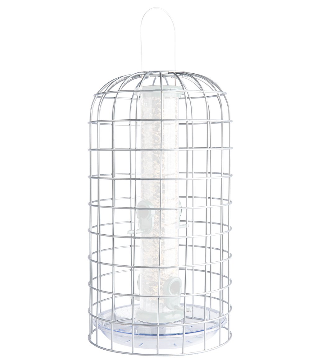 bfg-4 bird feeder guardians mediano