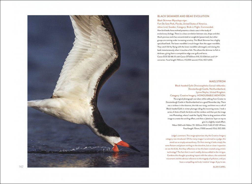 bird photographer of the year. collection 3