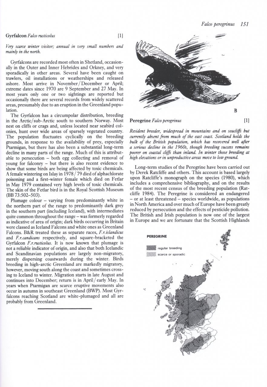 birds in scotland
