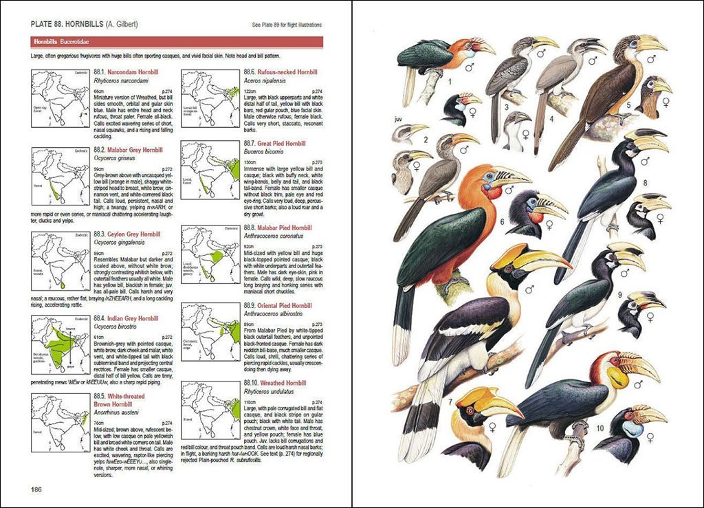 birds of south asia. the ripley guide. 2 volume set