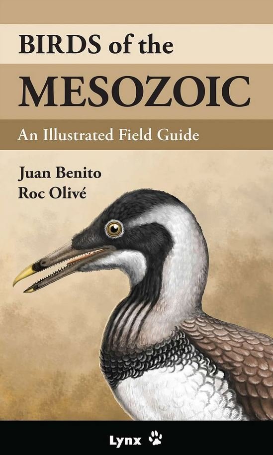 birds of the mesozoic. an illustrated field guide