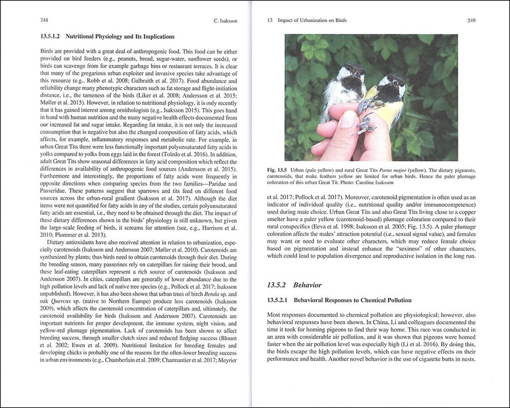 bird species. how they arise, modify and vanish