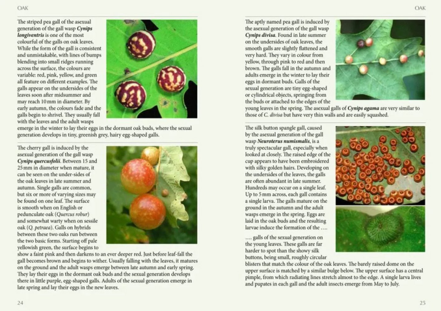 britain's plant galls. a photographic guide